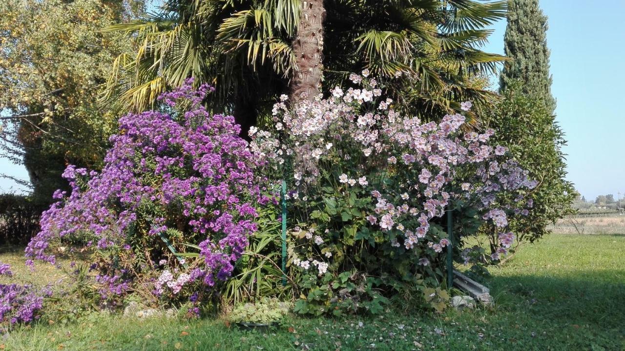 B&B Da Miriam Castelnuovo del Garda Exterior photo